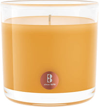Load image into Gallery viewer, Bolsius True Scents Mango Candle in Glass, Scented - Available in different sizes