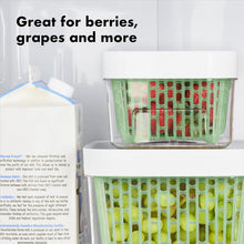 Load image into Gallery viewer, OXO Good Grips Greensaver Produce Keeper - Available in 3 Sizes