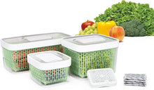 Load image into Gallery viewer, OXO Good Grips Greensaver Produce Keeper - Available in 3 Sizes, in use.