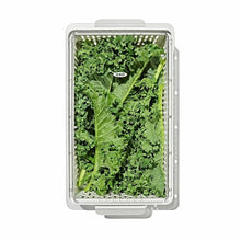 Load image into Gallery viewer, OXO Good Grips Produce Saver - Medium Bin, top view.