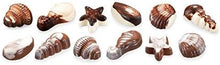 Load image into Gallery viewer, Tescoma Delicia Silicone Chocolate Praline with 2 Brushes - 15.8 x 3.4 x 19cm