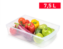 Load image into Gallery viewer, Plastic Forte Fridge Organizer & Drawer, 7.5L - Semi-Transparent