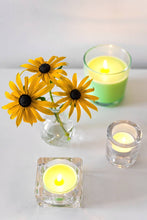 Load image into Gallery viewer, Lifestyle image of Bolsius True Scents Mimosa Maxi-Light Candles with Clear Cups, Scented - Pack of 8.