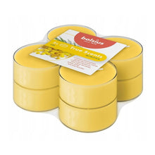 Load image into Gallery viewer, Bolsius True Scents Mimosa Maxi-Light Candles with Clear Cups, Scented - Pack of 8, angled view.