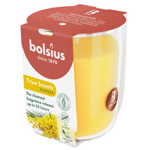 Load image into Gallery viewer, Bolsius True Scents Fragranced Candle in Glass - 80/73mm, Mimosa, angled view.