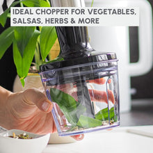 Load image into Gallery viewer, Moulinex Infinity Force Hand Blender with Accessories - 1200W