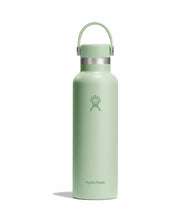 Load image into Gallery viewer, Hydroflask Standard Mouth Bottles - 621ml (21oz), Aloe