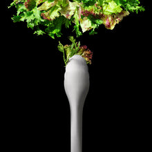 Load image into Gallery viewer, Lifestyle image of OXO Good Grips Balloon Whisk - Stainless Steel.