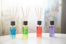 Load image into Gallery viewer, Amahogar Mikado Diffuser, Apple with Cinnamon - 100ml