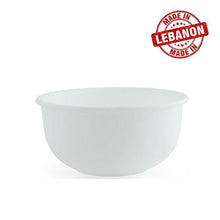 Load image into Gallery viewer, Gab Plastic Salad Bowl With Rim -17.5cm