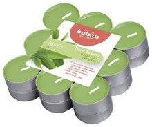 Load image into Gallery viewer, Bolsius True Scents Green Tea Tealight Candles, Scented - Pack of 18