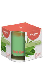 Load image into Gallery viewer, Bolsius True Scents Green Tea Candle in Glass, Scented - Available in different sizes