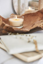 Load image into Gallery viewer, Bolsius True Scents Green Tea Tealight Candles, Scented - Pack of 18