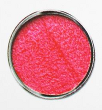 Load image into Gallery viewer, Burstenmann Microfiber Mop With Telescopic Handle - Available in 4 Colors