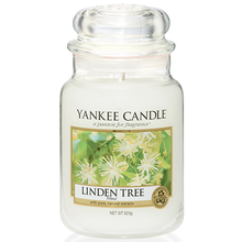Load image into Gallery viewer, Yankee Candle Glass Jar Candle - Linden Tree