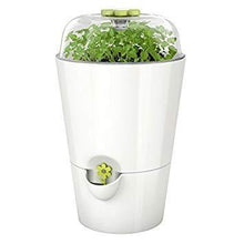 Load image into Gallery viewer, Emsa Fresh Herb Pot with Bell Jar - 1.2L