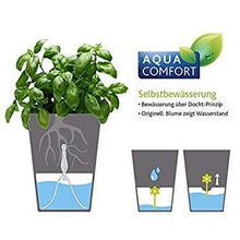 Load image into Gallery viewer, Emsa Fresh Herb Pot with Bell Jar - 1.2L