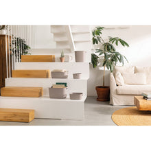 Load image into Gallery viewer, Curver Softex Large Baskets - 19L, 22.1 x 29.2 x 37.9cm, Taupe
