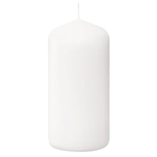 Load image into Gallery viewer, Bolsius Professional Pillar Candles, Tray of 20 Candles - 100/48mm, White
