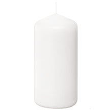 Load image into Gallery viewer, Bolsius Professional Pillar Candles, Tray of 12 Candles - 120/58mm, White
