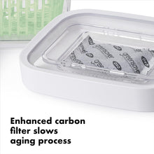 Load image into Gallery viewer, OXO Good Grips Greensaver Produce Keeper - Available in 3 Sizes
