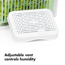 Load image into Gallery viewer, OXO Good Grips Greensaver Produce Keeper - Available in 3 Sizes
