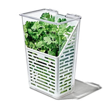 Load image into Gallery viewer, OXO Good Grips Produce Saver - Herb Keeper, angled view, filled.
