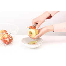 Load image into Gallery viewer, Brabantia Food Peeler - Matt Steel
