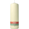Bolsius Unscented Pillar Candle 300/100 - Available in different colors