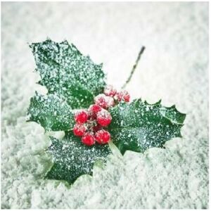 Ambiente Napkin Frozen Lex - Small