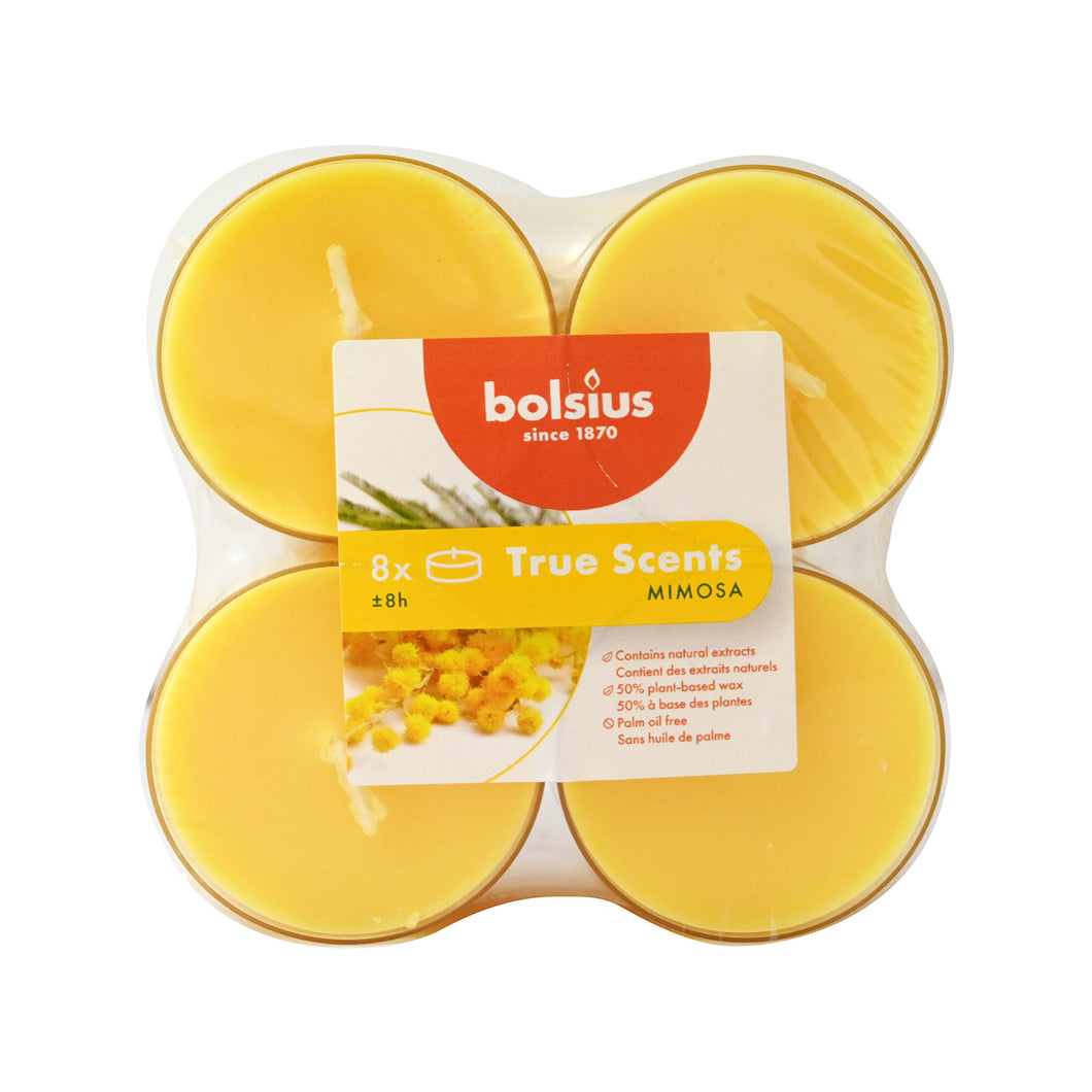 Bolsius True Scents Mimosa Maxi-Light Candles with Clear Cups, Scented - Pack of 8, top view.