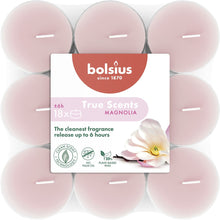 Load image into Gallery viewer, Bolsius True Scents Magnolia Tealight Candles, Scented - Pack of 18, 6-Hour Burn Time, Clear Cup, top view.
