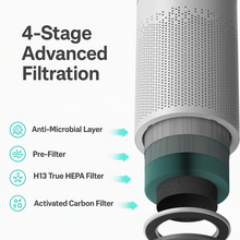 Load image into Gallery viewer, Nuwey by Nutricook Air Pure XL - Air Purifier, 40W
