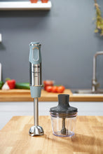 Load image into Gallery viewer, Moulinex QuickChef Lite Hand Blender with 20 Speeds, with Chopper &amp; Beaker - 1000W
