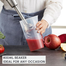 Load image into Gallery viewer, Moulinex Infinity Force Hand Blender with Accessories - 1200W
