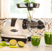 Load image into Gallery viewer, Omega Cold Pressed Slow Celery Juicer - 200W
