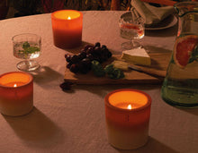 Load image into Gallery viewer, Bolsius Summer Nights Outdoor Candles - 120/126mm, Terra
