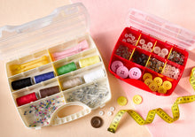 Load image into Gallery viewer, Plastic Forte Neptuno Divided Organizer
