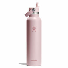 Load image into Gallery viewer, Hydroflask Standard Flex Cap - 709ml (24oz), Tonal Trillium
