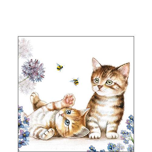 Ambiente Cats and Bees Napkins -  Available in 2 sizes
