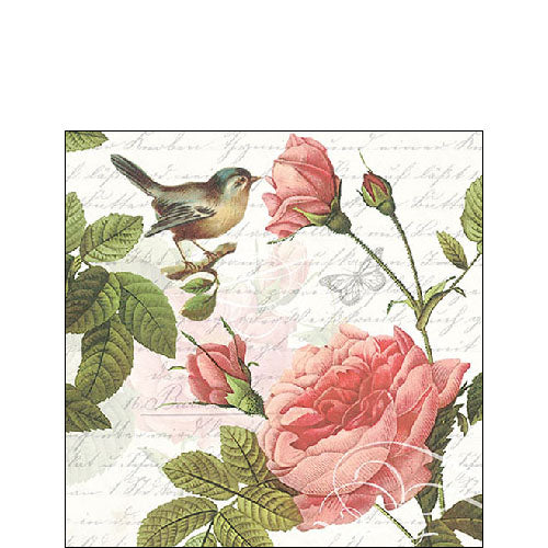 Ambiente Sophie Napkins -  Available in 2 sizes