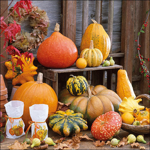 Ambiente Pumpkins Picture Halloween Napkins - Large