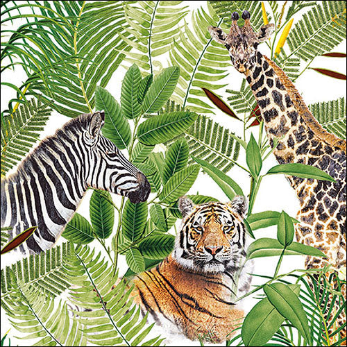 Ambiente Safari Napkins - Large