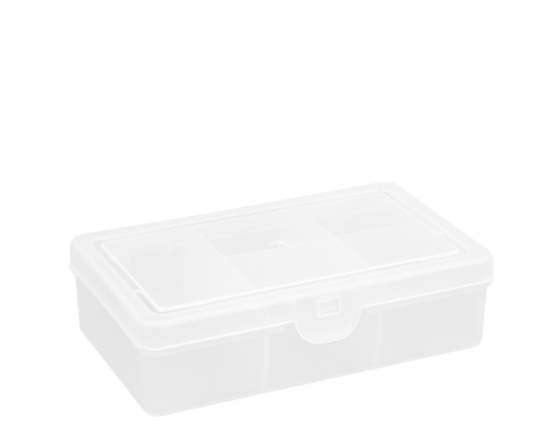 Wham Multi-Purpose Organizer - 1.01, 5 Divisions