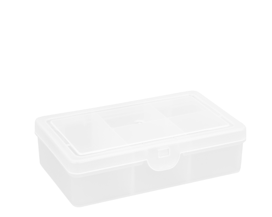 Wham Multi-Purpose Organizer - 1.01, 5 Divisions