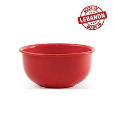 Load image into Gallery viewer, Gab Plastic Salad Bowl With Rim -17.5cm
