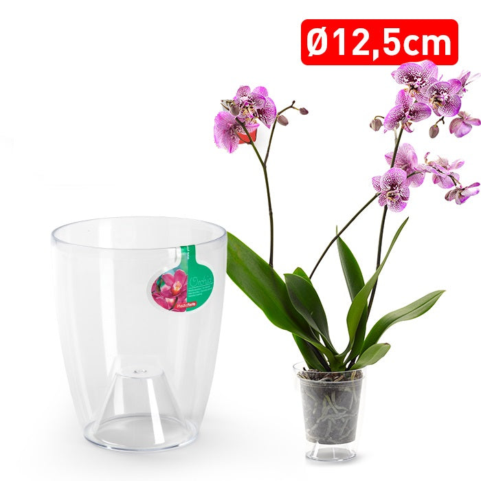 Plastic Forte Transparent Round Orchid Pot with Holes, 12.5cm