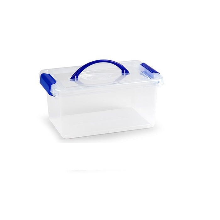 Plastic Forte Multipurpose Mini Box with Handle, 4L