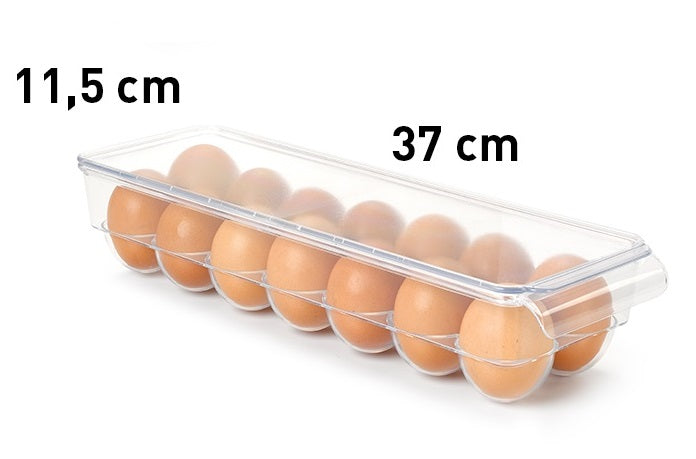 Plastic Forte Stackable Plastic Egg Storage Box No.1, Transparent