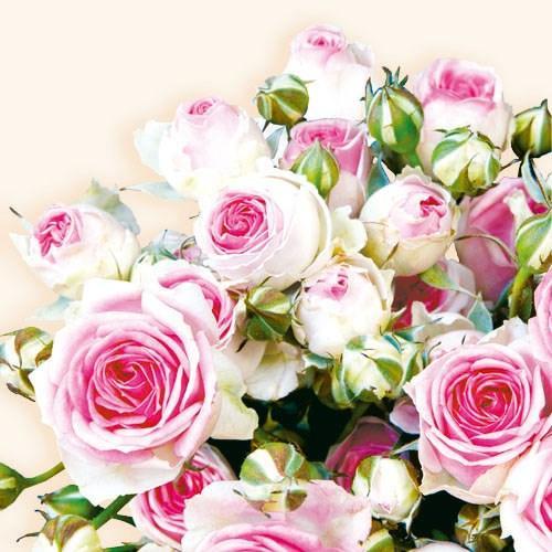 Ambiente Napkin Maxima Flowers - Small